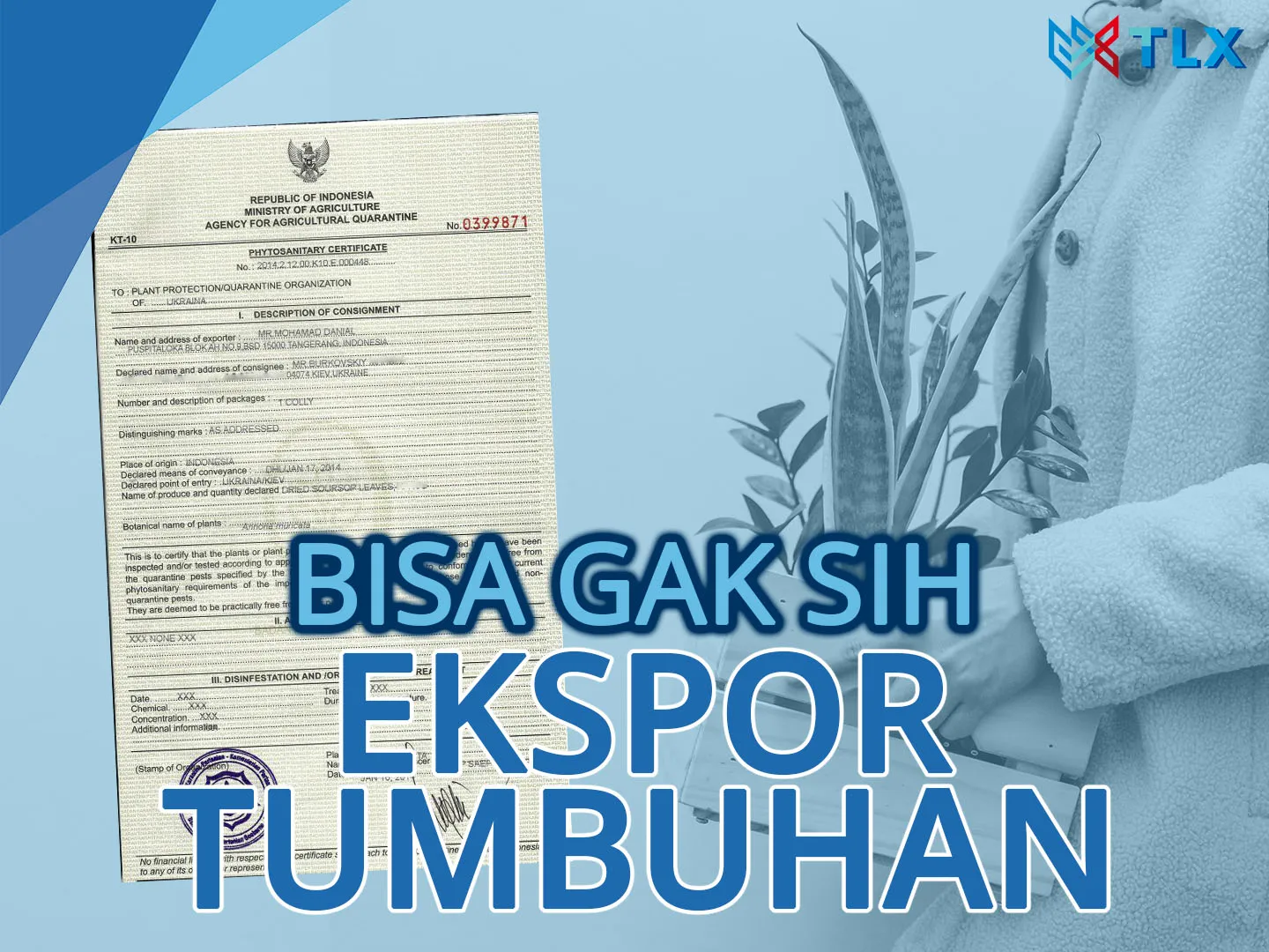 EKSPOR TUMBUHAN DENGAN PHYTOSANITARY