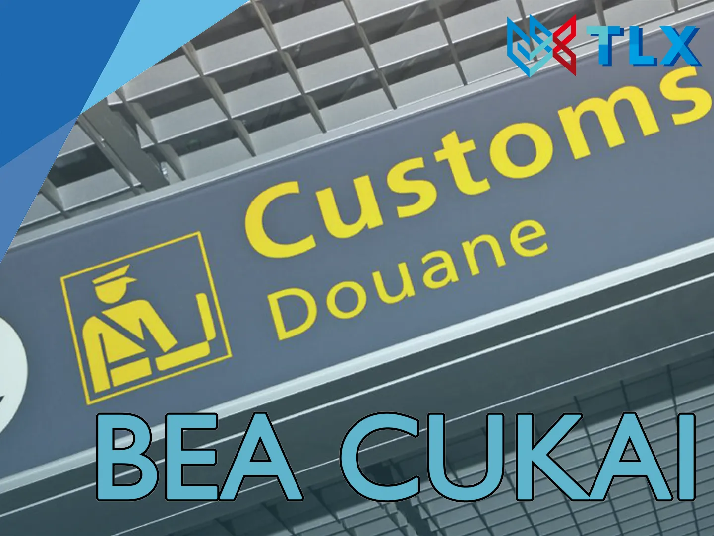 SEKILAS MENGENAI BEA CUKAI